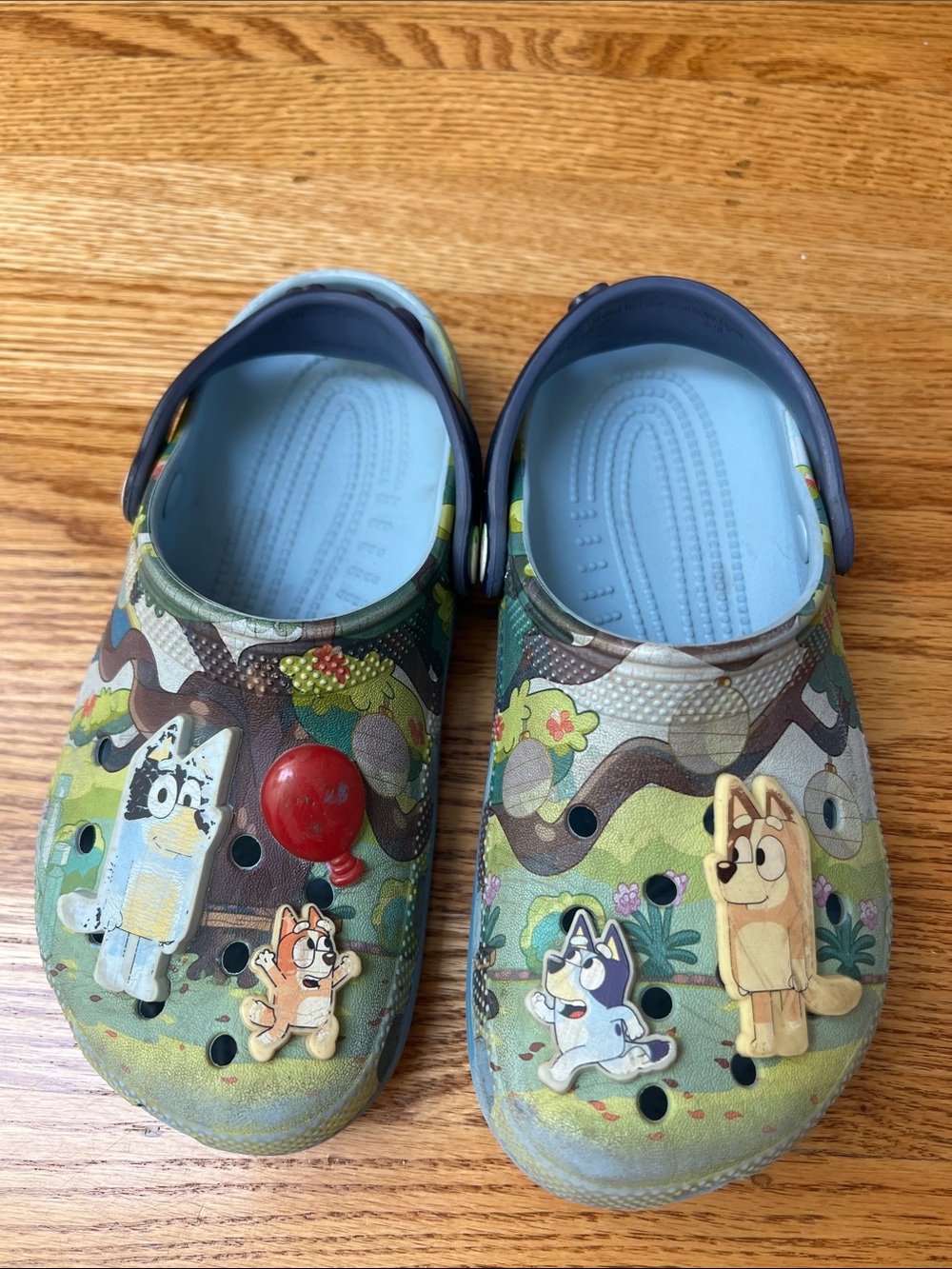 Bluey CROCS kids